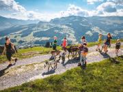 Apartment Appartement Erwin-1 by Interhome