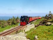 Apartment Wohnung in Wernigerode mit Garten by Interhome