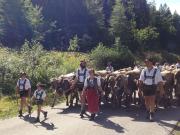 Apartment Sport Alpin Wh 130 by Interhome