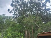 Top São Bento do Sapucaí