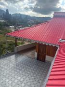 Top Ziro