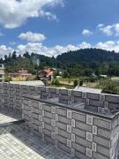 Top Ziro