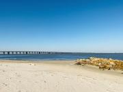 Top Freeport