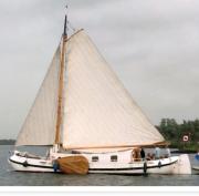 Paradijsvogel Enkhuizen