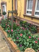 Top Neustadt an der Weinstraße