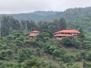 Top Chandoli
