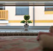 Lux Apartment VIP SPILJEVIC