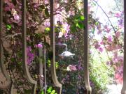 Villa de charme à 250m de la plage, belle vue mer