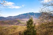 Top Gatlinburg