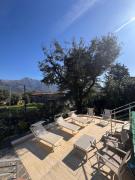 Top Camaiore