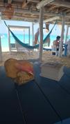 Top Playa Blanca