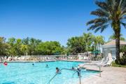 Top Orlando