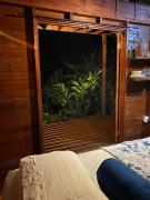 Top Bocas del Toro