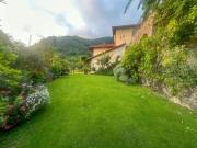 Top Camaiore