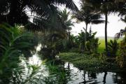 Top Alleppey Top Alleppey