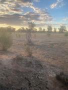 Top Narrabri
