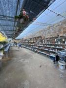 Top Da Lat Top Da Lat