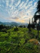 Top Bac Ha