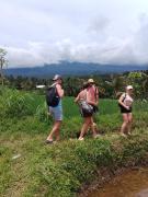 Top Tetebatu