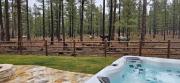 Top Indian Pine