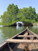 Top Munroe Island