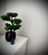 Top Ostrowiec Świętokrzyski