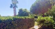 Top Ceriale