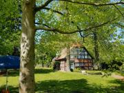 Peaceful Oasis In Pristine Nature