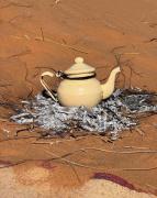 Sahara Nomad palace camp