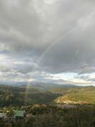 Homestay Coffee Thanh Trúc