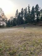 Elves Homestay