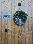 Модрина Космач