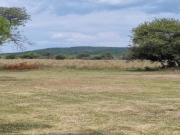 Top Cullinan Top Cullinan