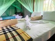 Green Tree House Yala