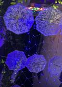 Top Uggiano la Chiesa Top Uggiano la Chiesa