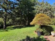 Top Leura