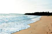 Top Kannur