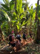 Pha Kew Lom Viewpoint Camping & Adventure in Nong Khiaw