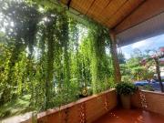 The Lazy Farm-Garden Central Room