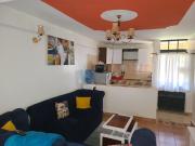 Executive Comfy Staycation