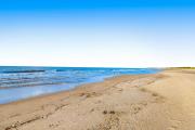 Top Port St. Joe