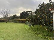 Alma CaloRosa Garden Apartment