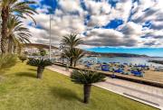 Top Arona