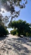 Top Paphos City