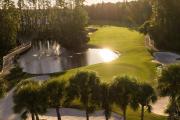 Top Wesley Chapel
