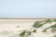 Top Borkum