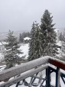 Top Kopaonik