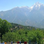 Top Kalpa