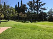 Top Pergamino