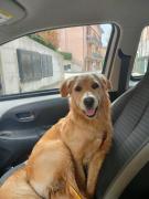 Top Castelvetro di Modena